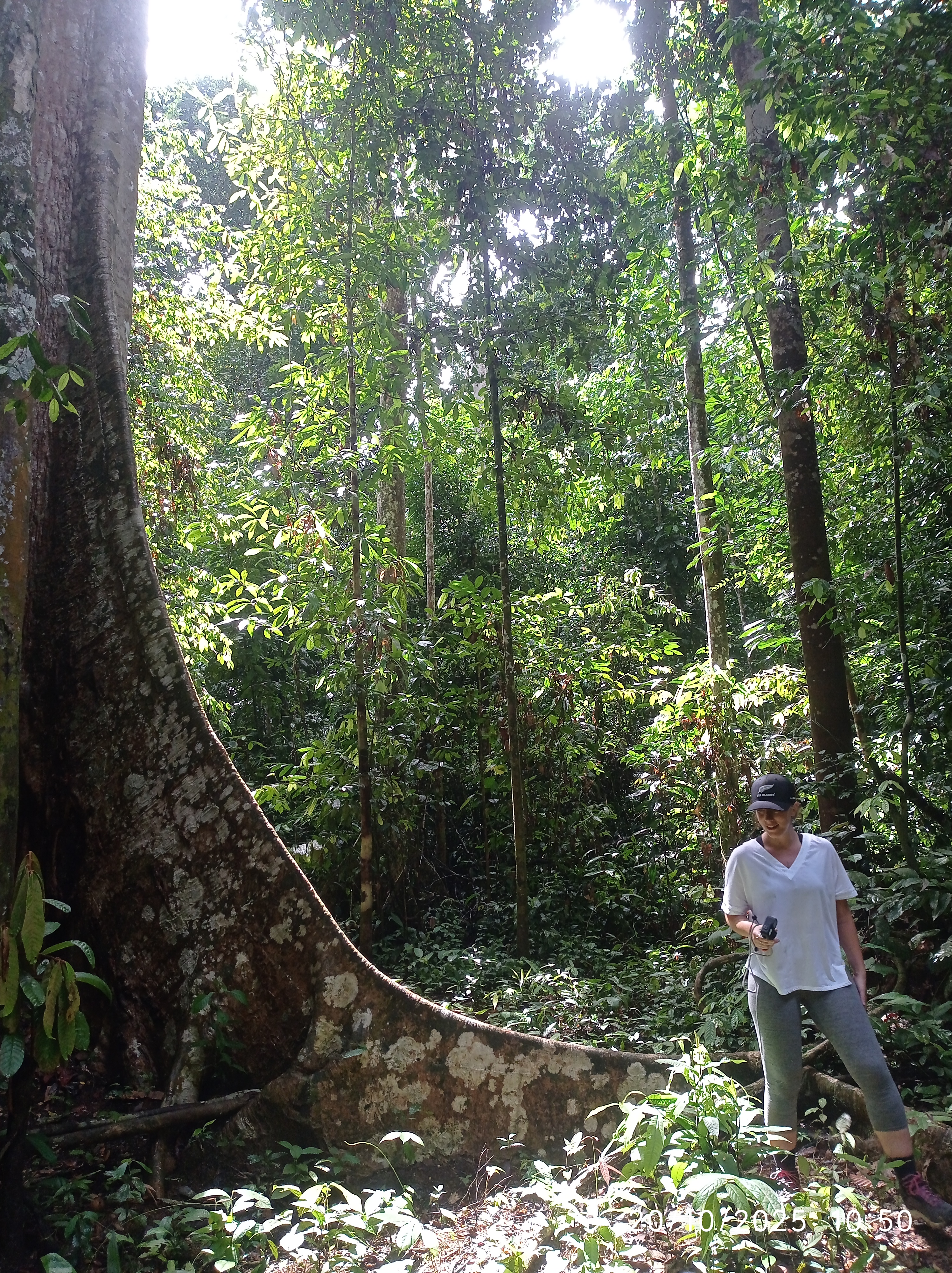 Essential Guide to Packing for Jungle Trekking in Malaysia