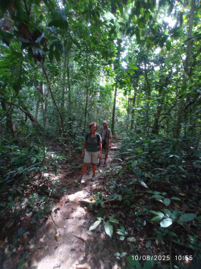 Kenong Elements Experience