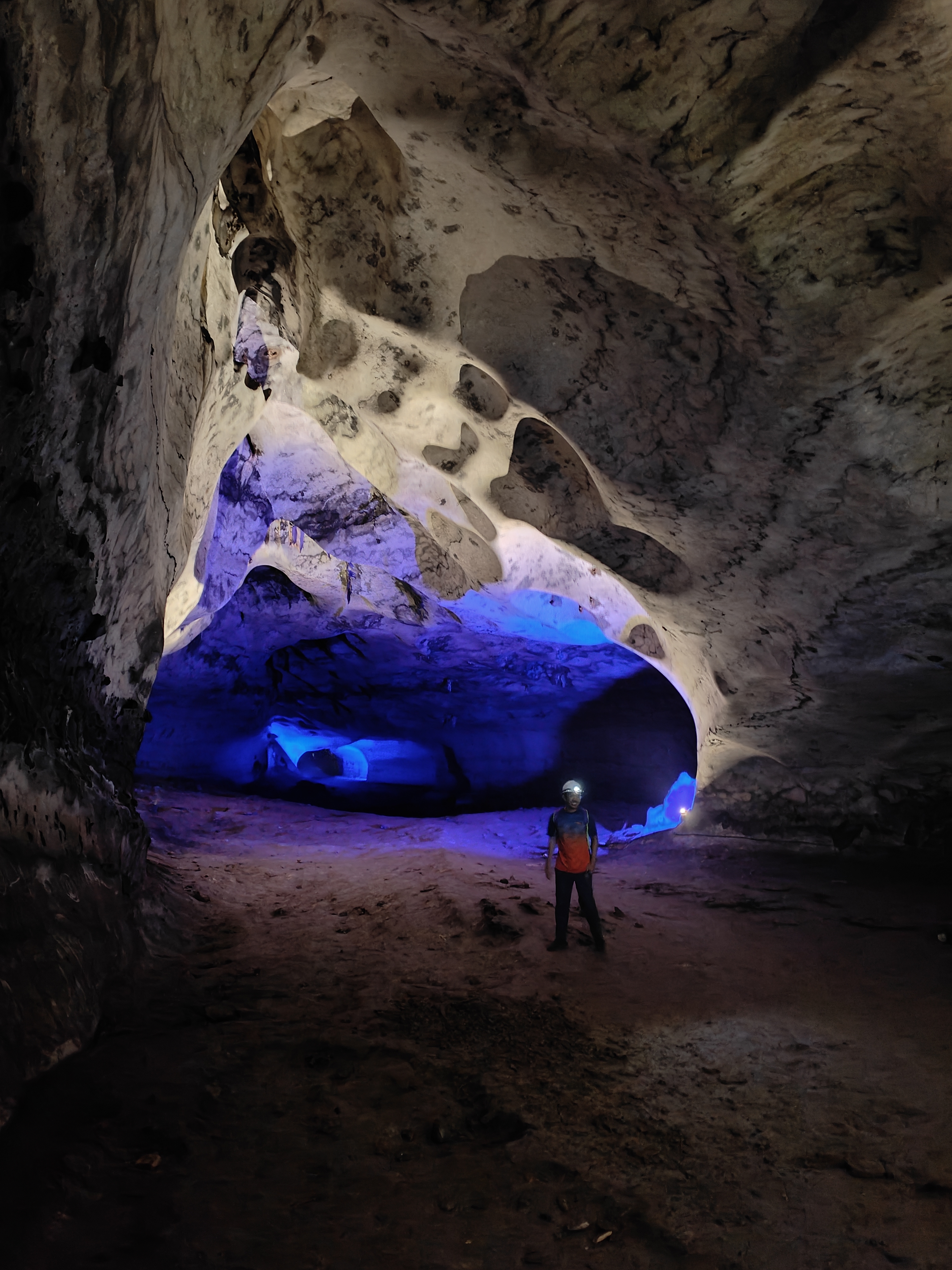 Kenong Rimba jungle adventures